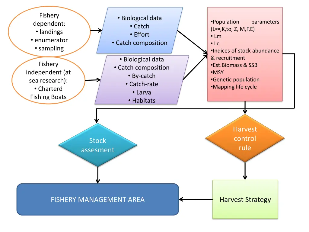 fishery dependent landings enumerator sampling