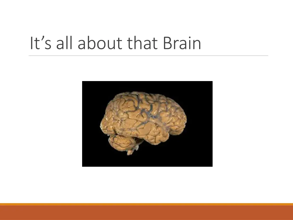 it s all about that brain
