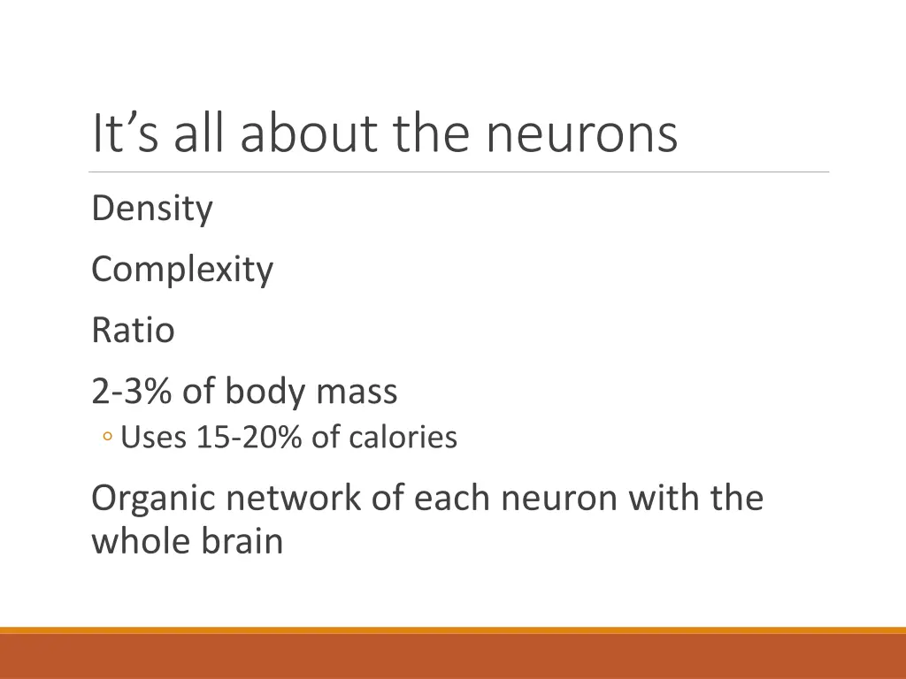 it s all about the neurons