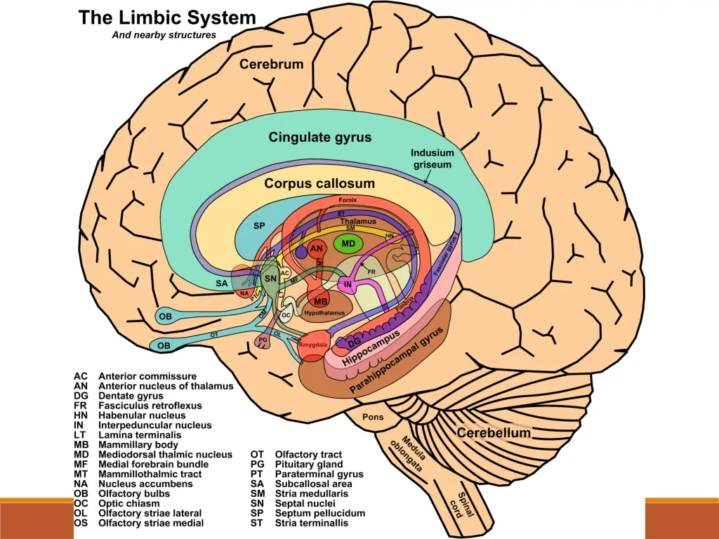 slide25