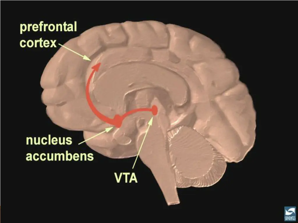slide28