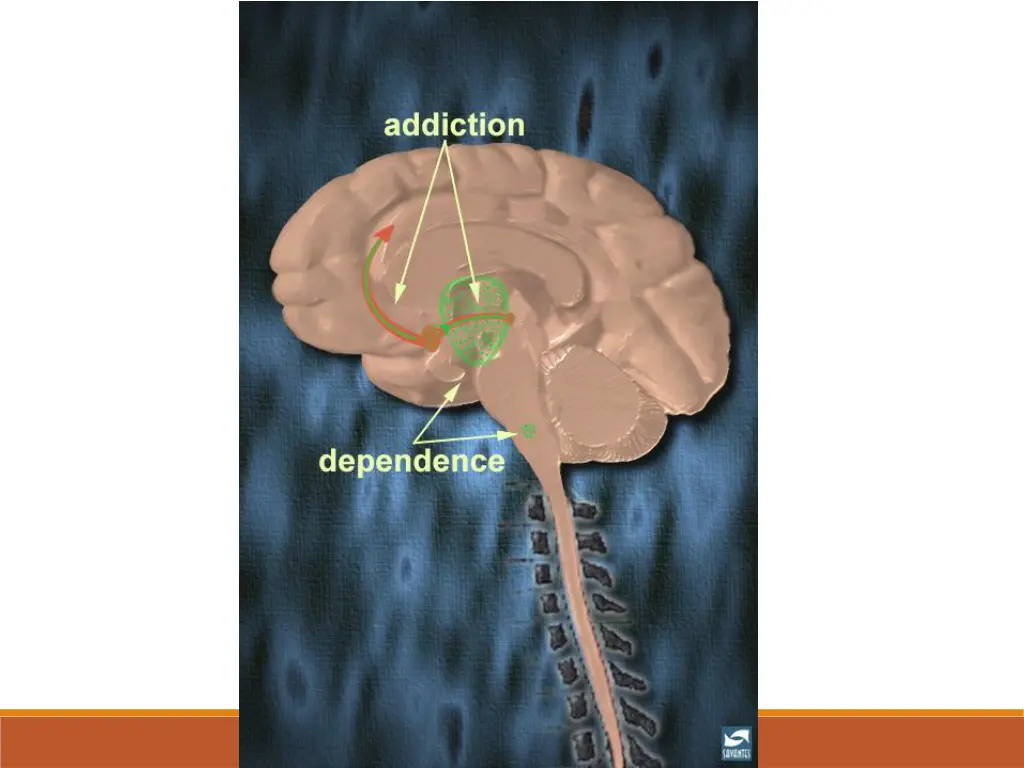 slide36