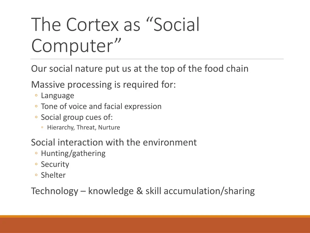 the cortex as social computer