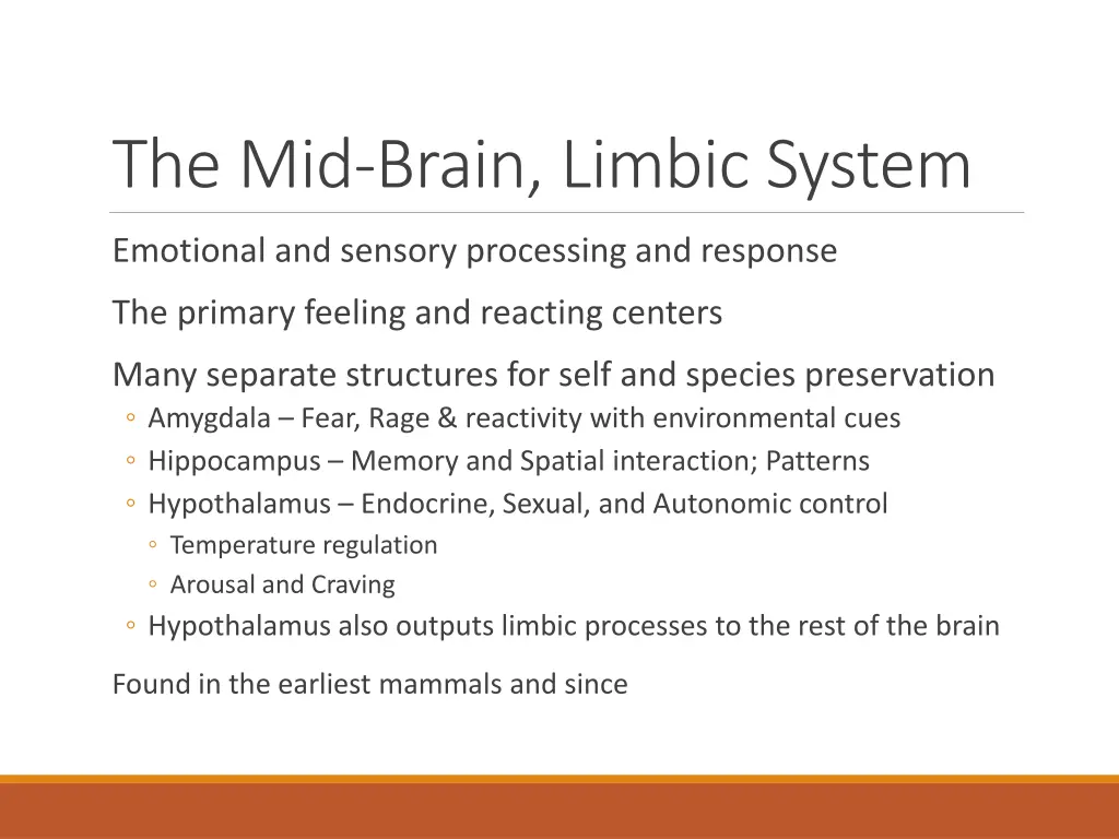 the mid brain limbic system