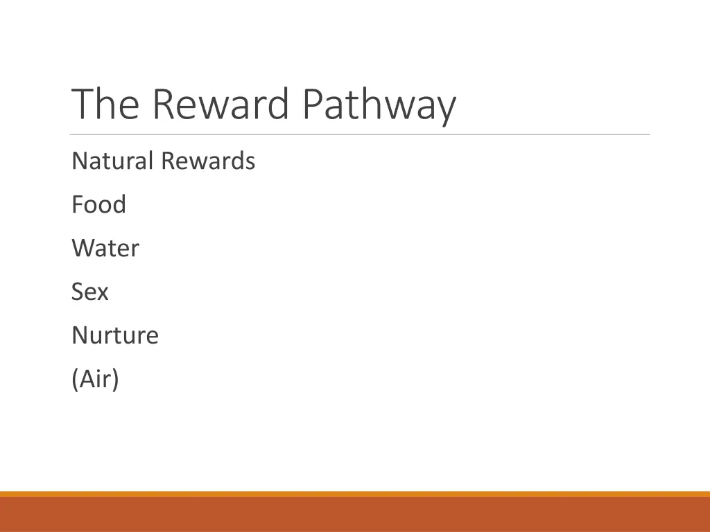 the reward pathway