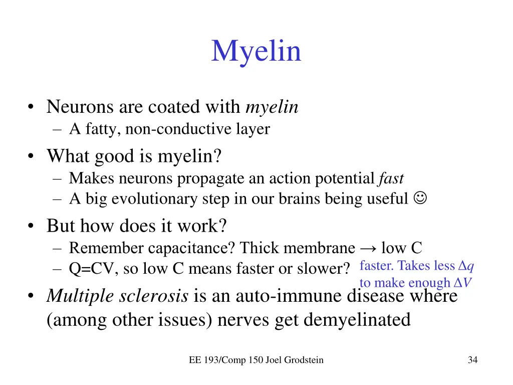 myelin