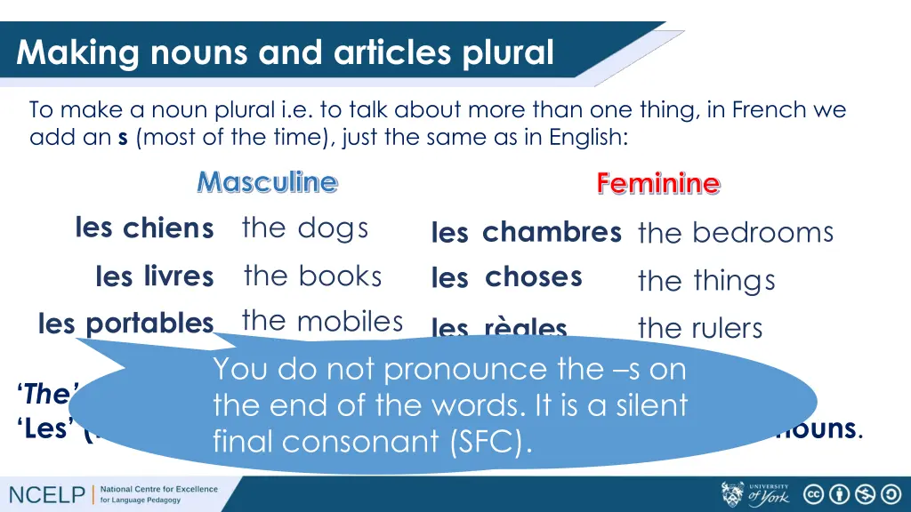 making nouns and articles plural