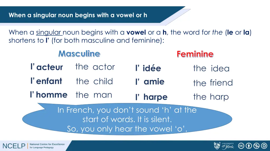 when a singular noun begins with a vowel or h