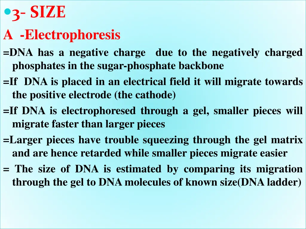 3 size a electrophoresis dna has a negative