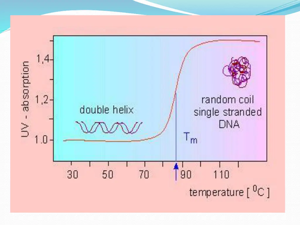 slide14