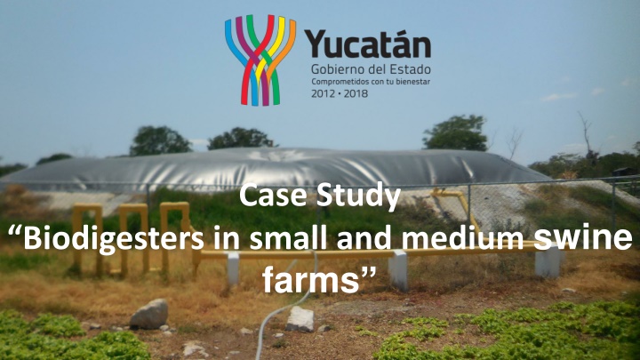 case study