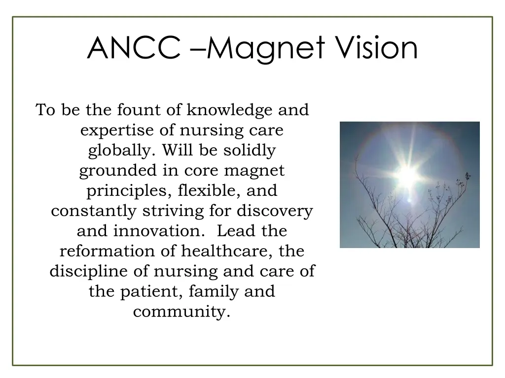 ancc magnet vision