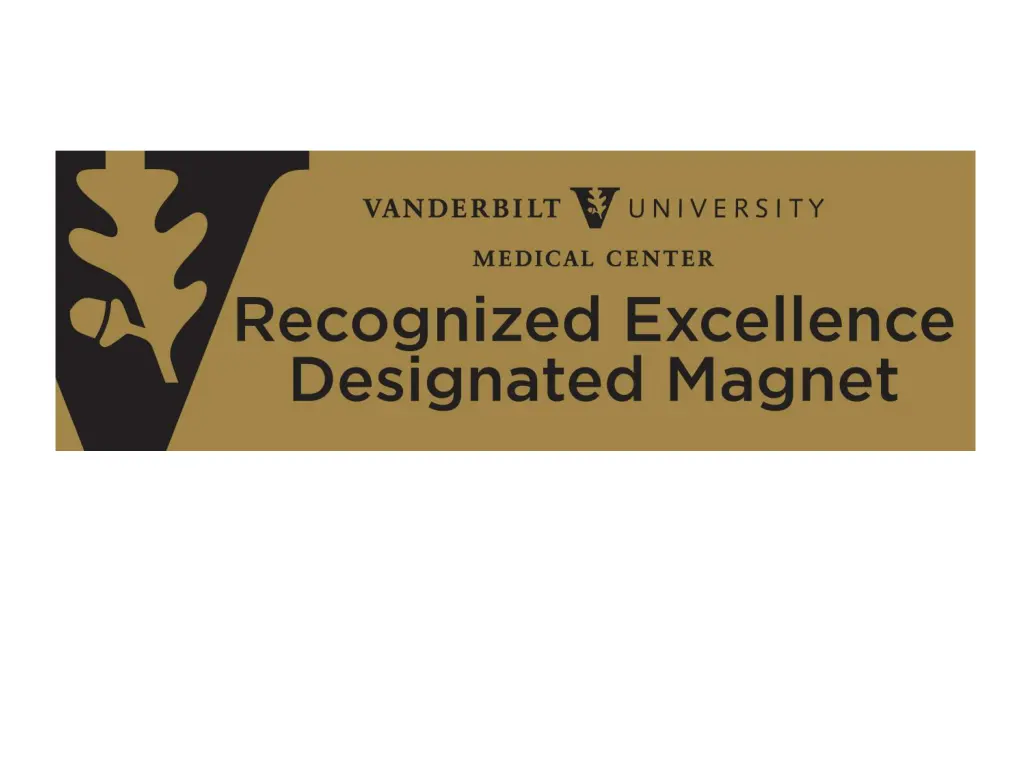 slide19