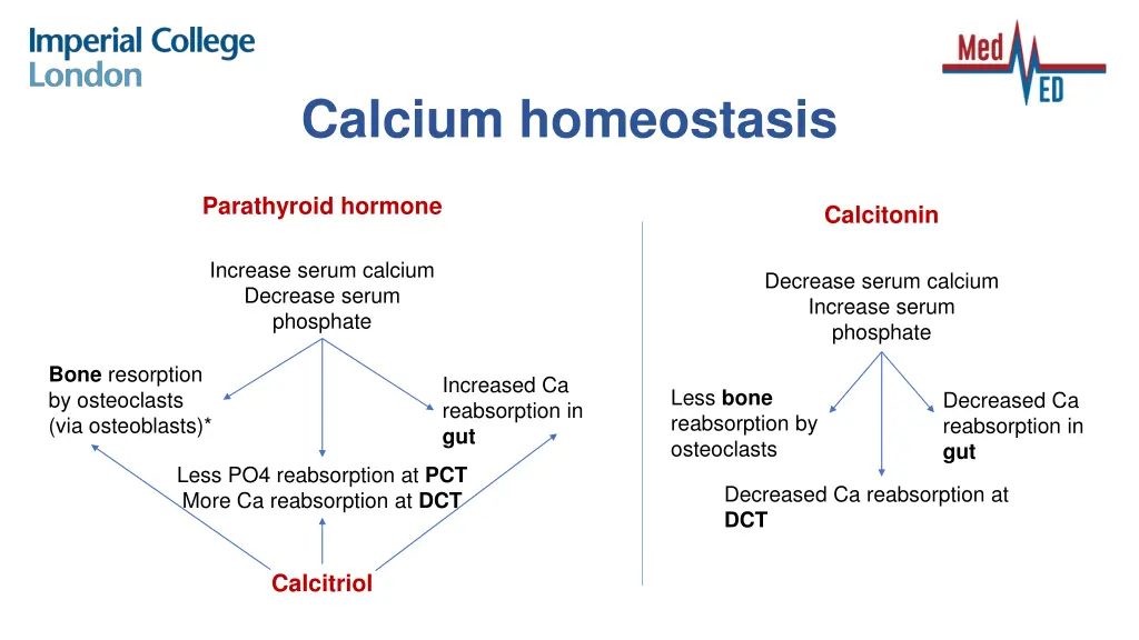 calcium homeostasis 1