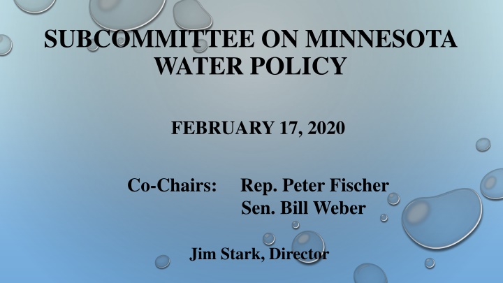 subcommittee on minnesota water policy