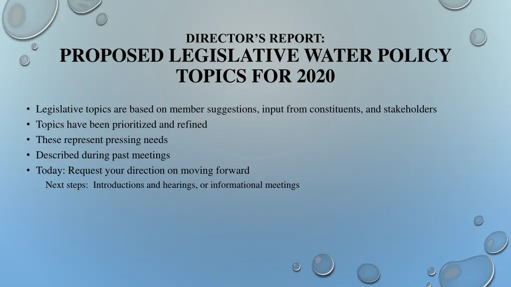 director s report