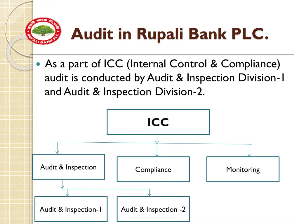 audit in rupali bank plc