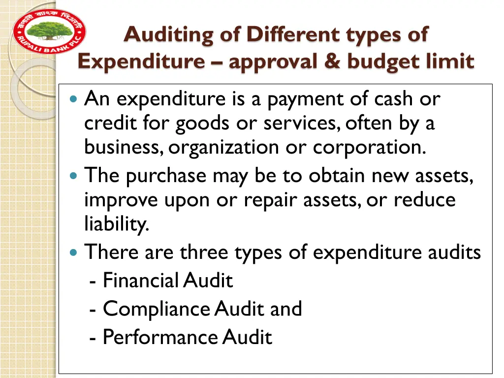 auditing of different types of expenditure
