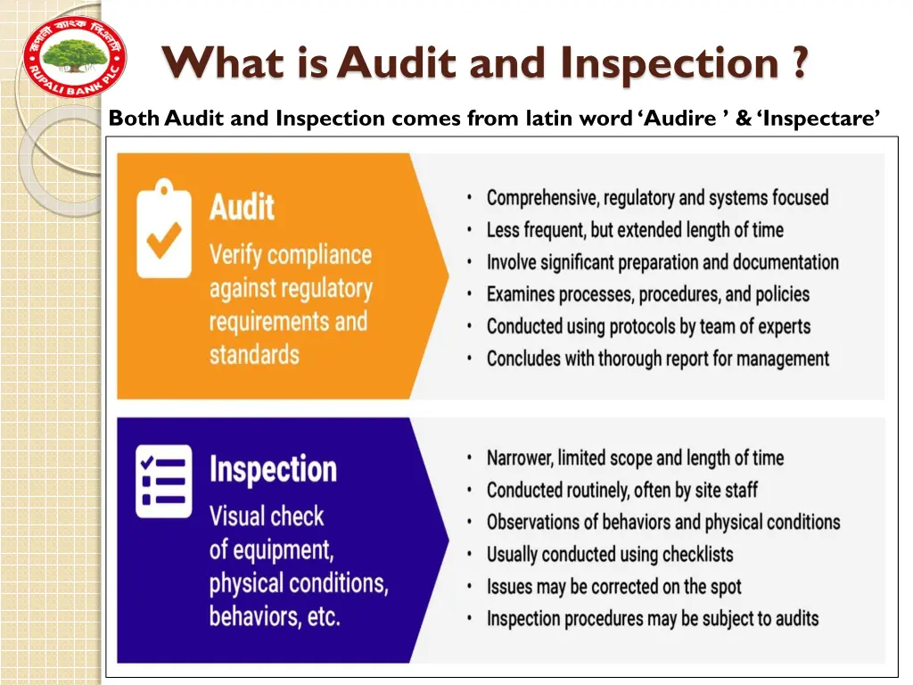 what is audit and inspection