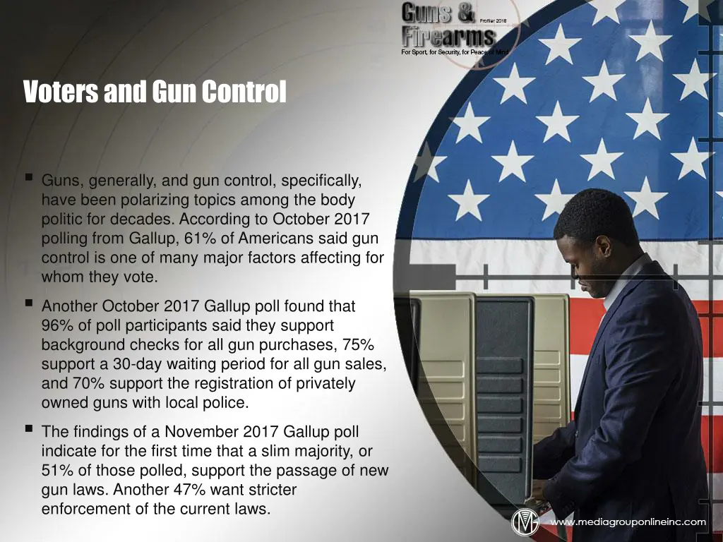 voters and gun control