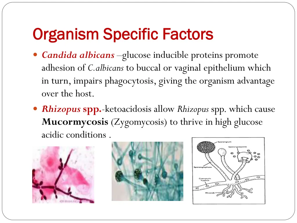 organism specific factors organism specific