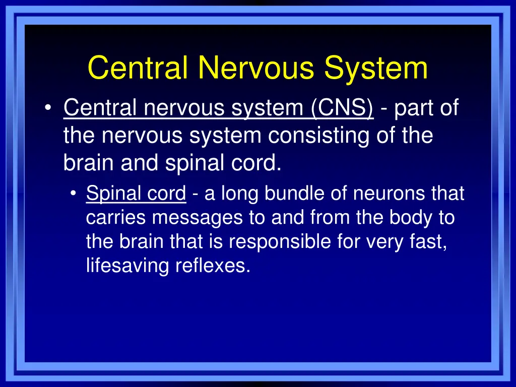 central nervous system central nervous system