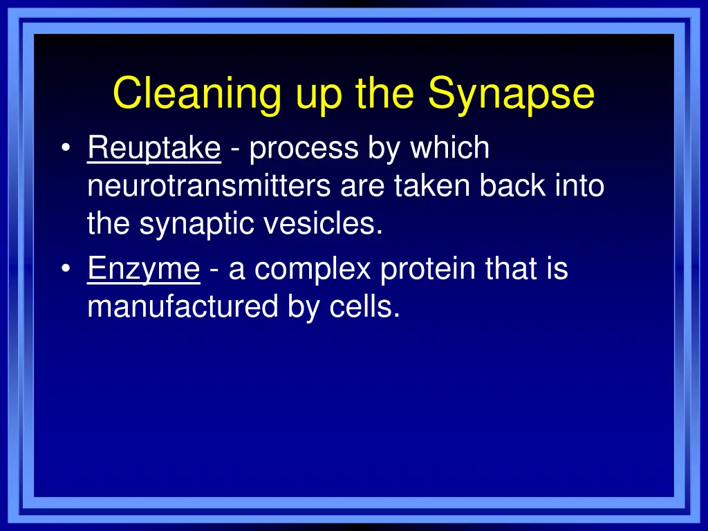 cleaning up the synapse reuptake process by which