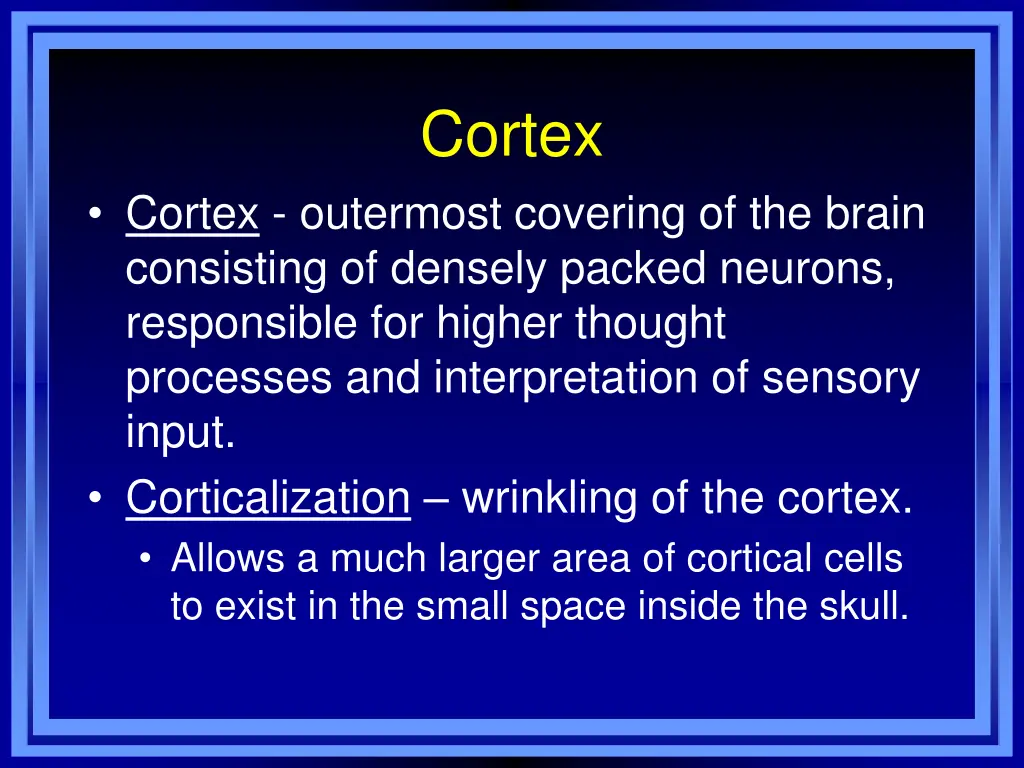 cortex