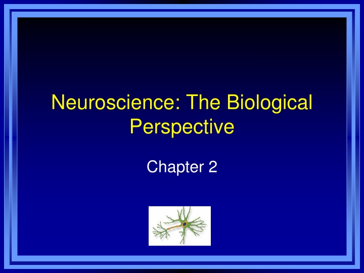 neuroscience the biological perspective