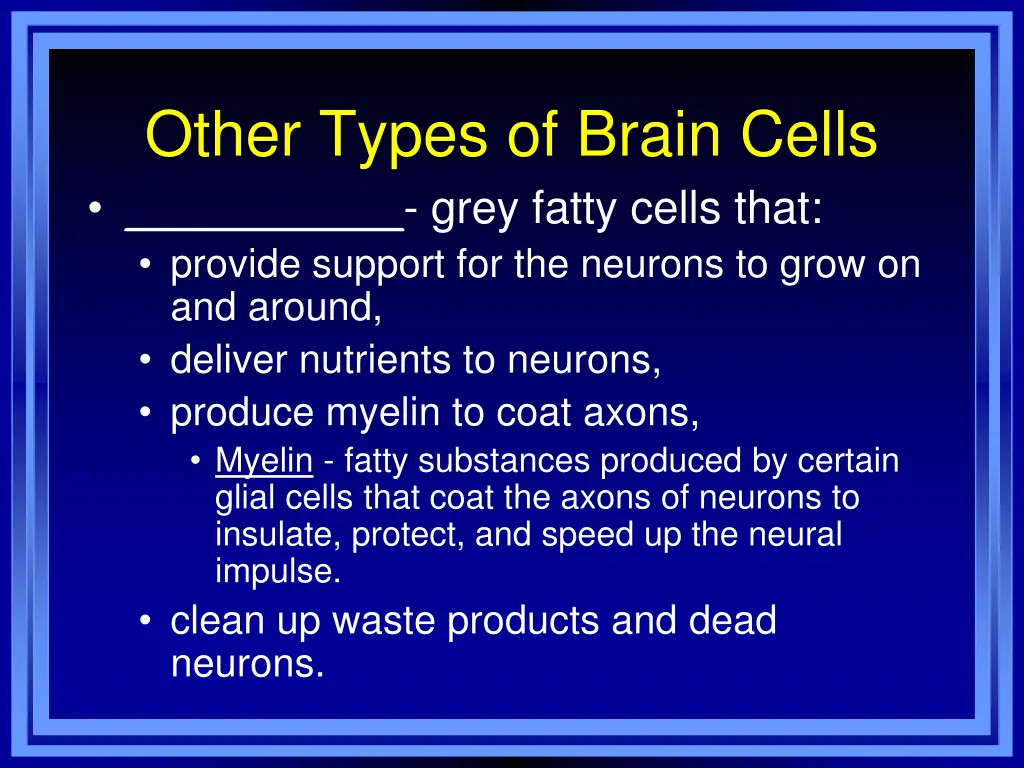 other types of brain cells grey fatty cells that