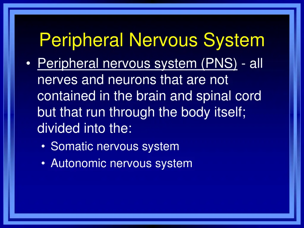 peripheral nervous system peripheral nervous