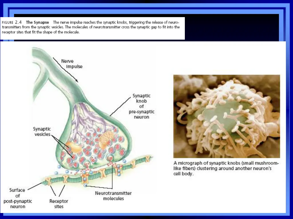 slide15