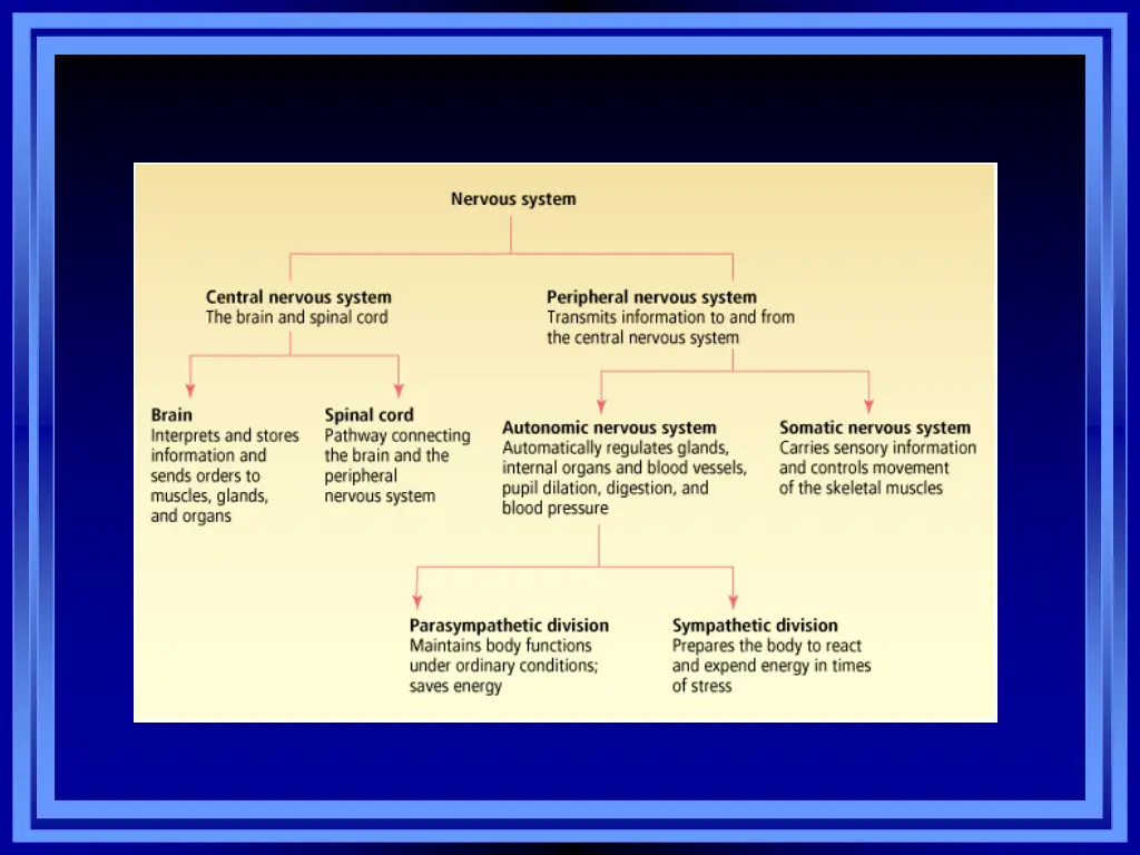 slide16