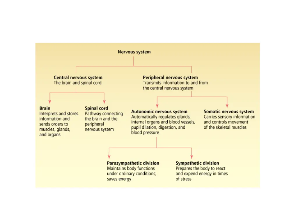 slide3