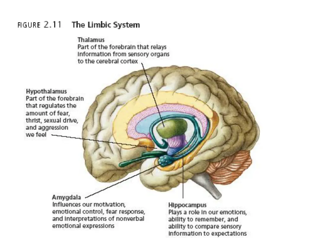 slide32