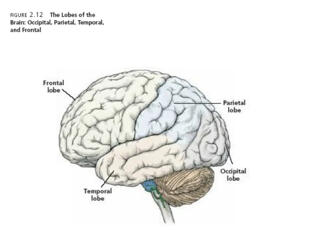 slide38