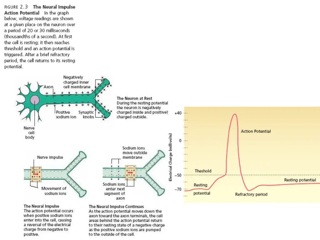 slide9