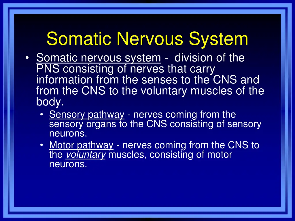 somatic nervous system somatic nervous system