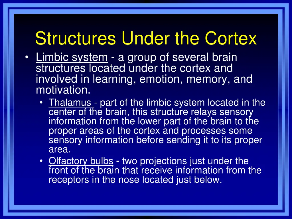 structures under the cortex limbic system a group