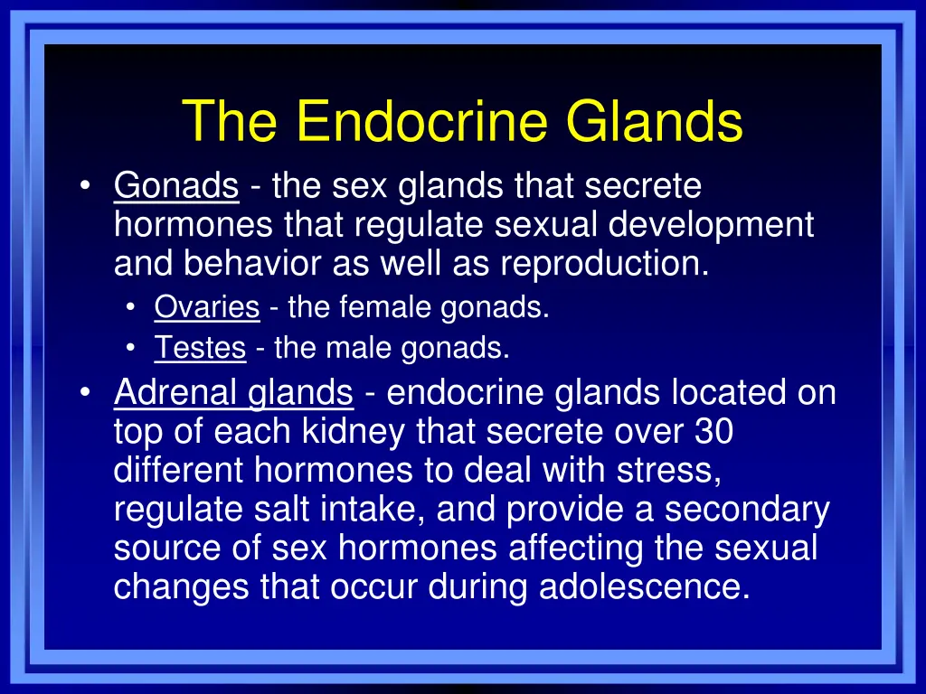 the endocrine glands gonads the sex glands that