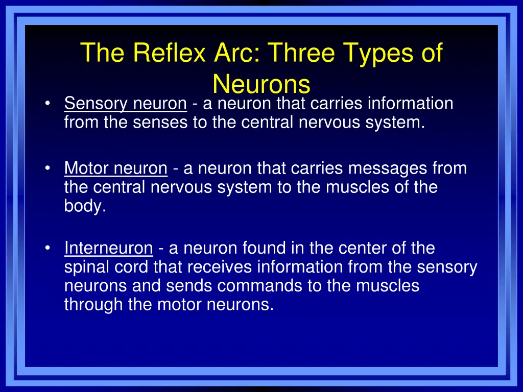 the reflex arc three types of neurons sensory