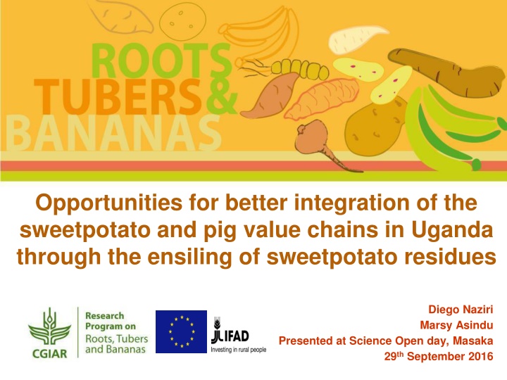 opportunities for better integration
