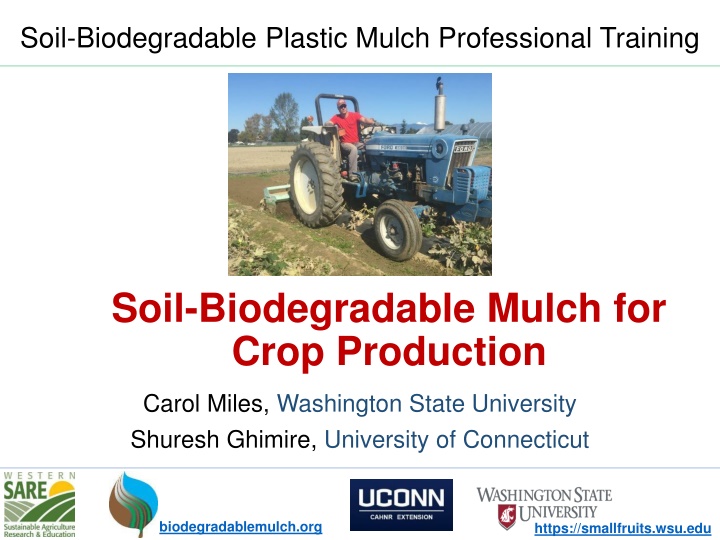 soil biodegradable plastic mulch professional