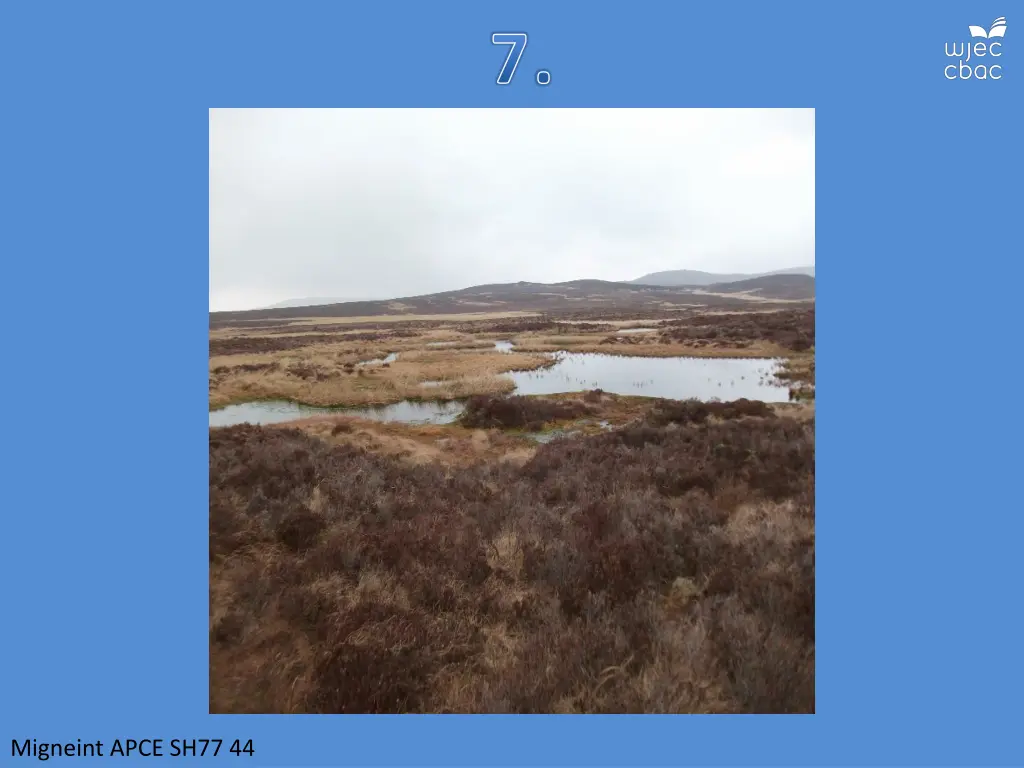 slide8