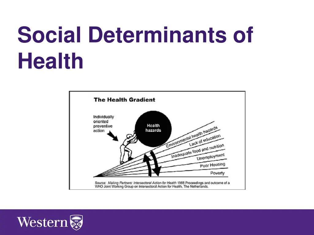 social determinants of health