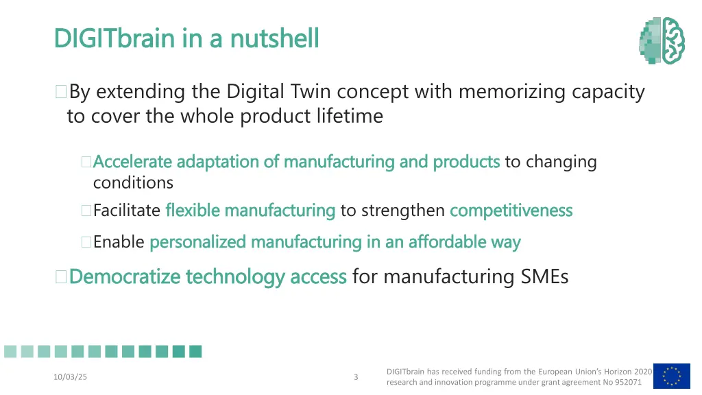 digitbrain in a nutshell digitbrain in a nutshell