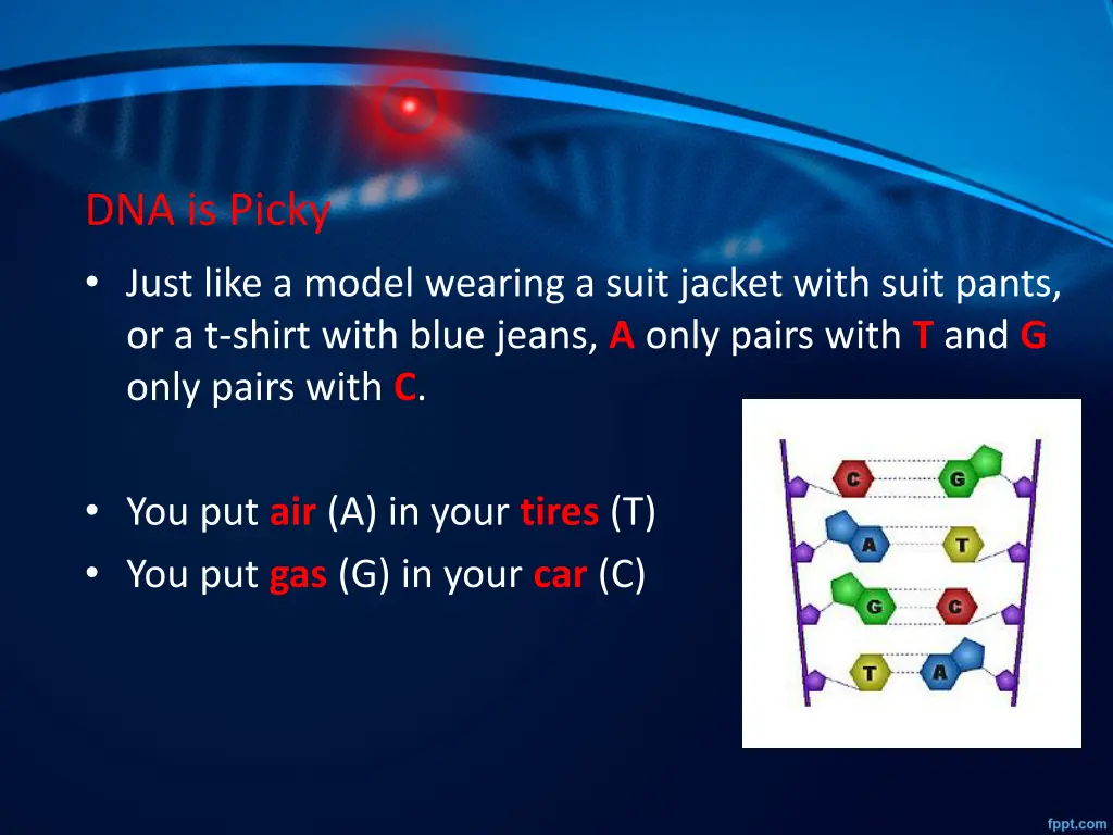 dna is picky just like a model wearing a suit