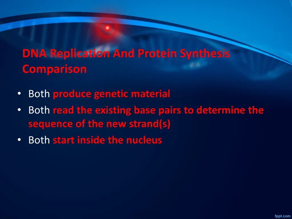 dna replication and protein synthesis comparison