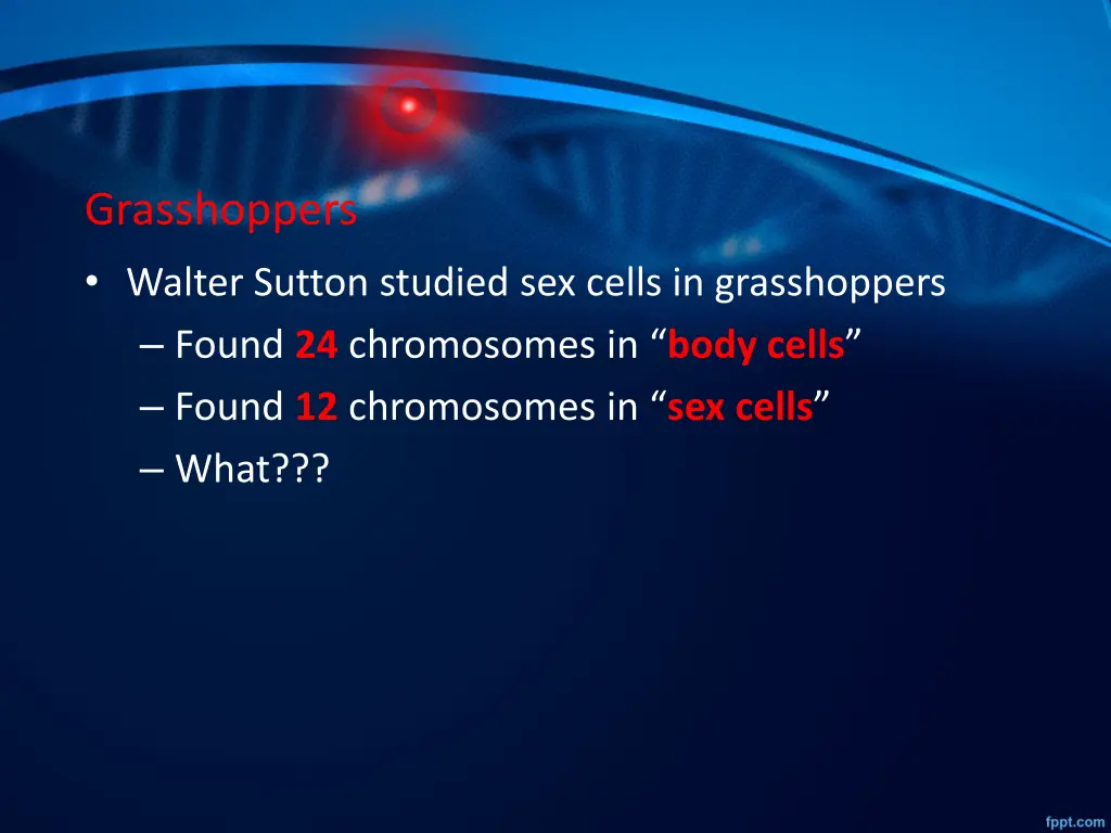 grasshoppers walter sutton studied sex cells