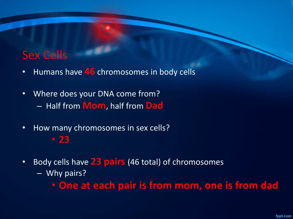 sex cells humans have 46 chromosomes in body cells